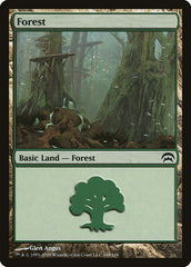 Floresta / Forest - Magic: The Gathering - MoxLand