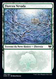 Floresta Nevada / Snow-Covered Forest - Magic: The Gathering - MoxLand