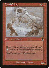 Colos Selvagem / Wild Colos - Magic: The Gathering - MoxLand