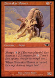 Xistoderme Sulcador / Shaleskin Plower - Magic: The Gathering - MoxLand