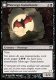Morcego Guinchante / Screeching Bat