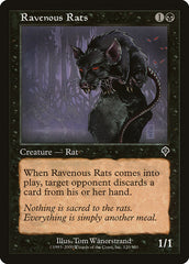 Ratos Vorazes / Ravenous Rats - Magic: The Gathering - MoxLand