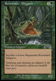 Aligátor de Rootwater / Rootwater Alligator - Magic: The Gathering - MoxLand