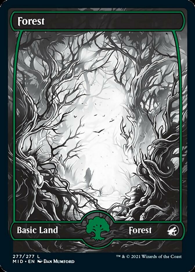 Floresta / Forest - Magic: The Gathering - MoxLand