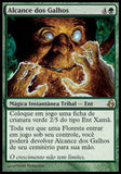 Alcance dos Galhos / Reach of Branches - Magic: The Gathering - MoxLand