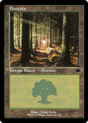 Floresta / Forest - Magic: The Gathering - MoxLand