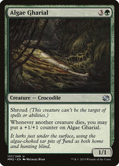 Gavial das Algas / Algae Gharial - Magic: The Gathering - MoxLand