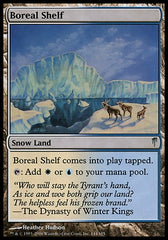 Recife Boreal / Boreal Shelf - Magic: The Gathering - MoxLand