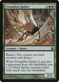 Aranha da Penumbra / Penumbra Spider - Magic: The Gathering - MoxLand