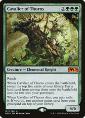 Cavaleiro dos Espinhos / Cavalier of Thorns - Magic: The Gathering - MoxLand