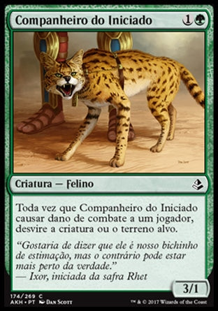 Companheiro do Iniciado / Initiate's Companion - Magic: The Gathering - MoxLand