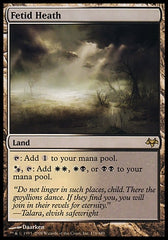 Matagal Fétido / Fetid Heath - Magic: The Gathering - MoxLand