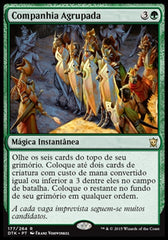 Companhia Agrupada / Collected Company - Magic: The Gathering - MoxLand