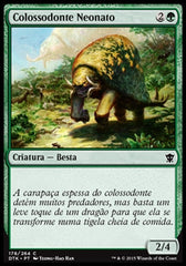 Colossodonte Neonato / Colossodon Yearling - Magic: The Gathering - MoxLand