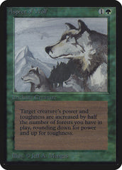 Natureza do Lobo / Aspect of Wolf - Magic: The Gathering - MoxLand