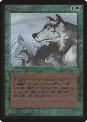 Natureza do Lobo / Aspect of Wolf - Magic: The Gathering - MoxLand