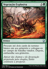 Vegetação Explosiva / Explosive Vegetation - Magic: The Gathering - MoxLand