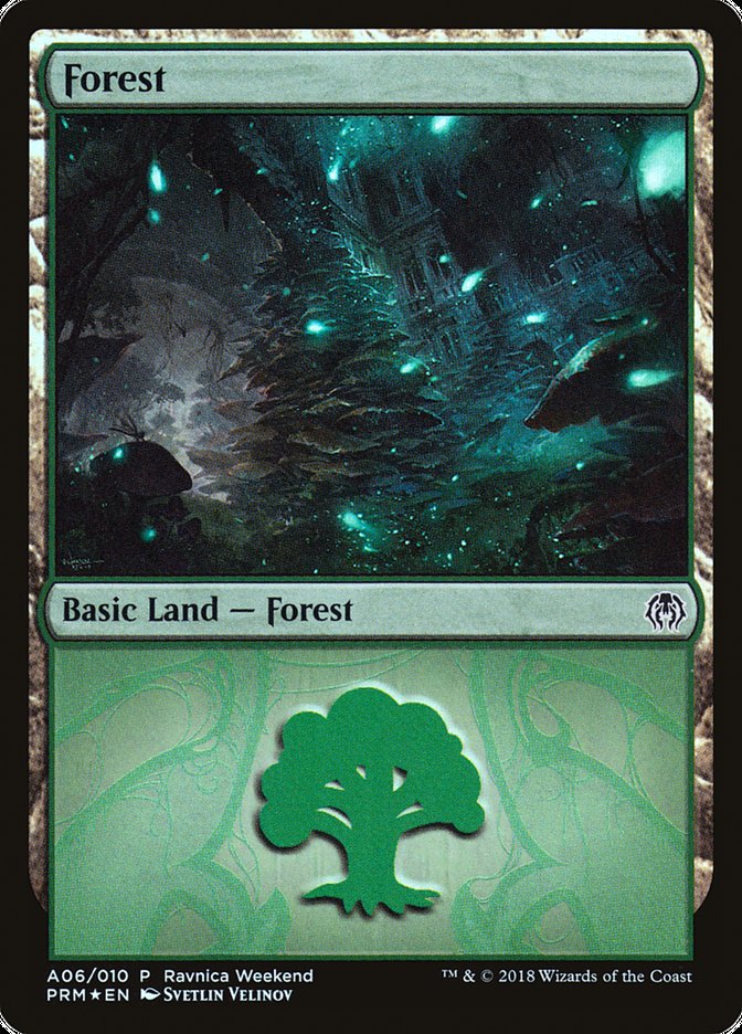 Floresta / Forest - Magic: The Gathering - MoxLand