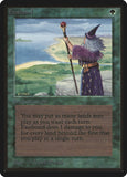 Fastbond / Fastbond - Magic: The Gathering - MoxLand