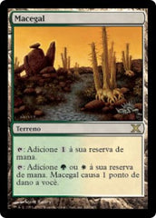 Macegal / Brushland - Magic: The Gathering - MoxLand