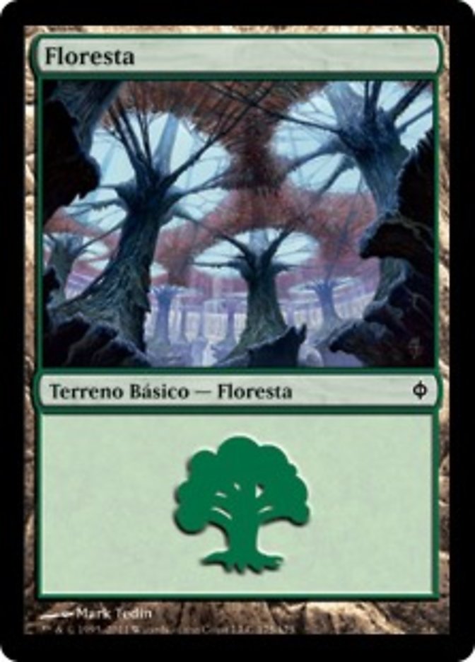 Floresta / Forest - Magic: The Gathering - MoxLand