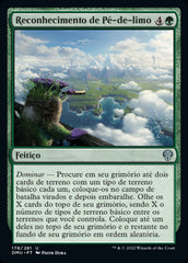 Reconhecimento de Pé-de-limo / Slimefoot's Survey - Magic: The Gathering - MoxLand