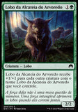 Lobo da Alcateia do Arvoredo / Timberpack Wolf - Magic: The Gathering - MoxLand