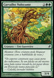 Carvalho Nubicume / Cloudcrown Oak - Magic: The Gathering - MoxLand
