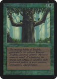 Ents das Raízes de Ferro / Ironroot Treefolk - Magic: The Gathering - MoxLand