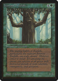 Ents das Raízes de Ferro / Ironroot Treefolk - Magic: The Gathering - MoxLand