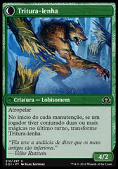 Lenhador do Interior / Hinterland Logger - Magic: The Gathering - MoxLand