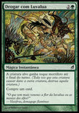 Drogar com Luvalua / Lace with Moonglove - Magic: The Gathering - MoxLand