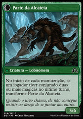 Caçador Solitário / Solitary Hunter - Magic: The Gathering - MoxLand