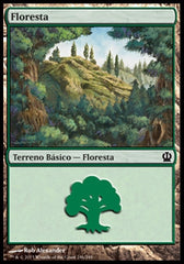 Floresta / Forest - Magic: The Gathering - MoxLand