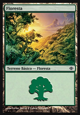 Floresta / Forest - Magic: The Gathering - MoxLand