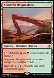 Arvoredo Resguardado / Sheltered Thicket - Magic: The Gathering - MoxLand