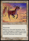 Antílope Elegante / Graceful Antelope - Magic: The Gathering - MoxLand