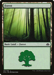 Floresta / Forest - Magic: The Gathering - MoxLand