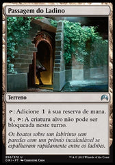 Passagem do Ladino / Rogue's Passage - Magic: The Gathering - MoxLand