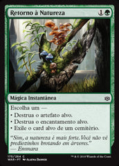 Retorno à Natureza / Return to Nature - Magic: The Gathering - MoxLand