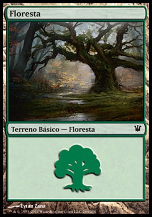 Floresta / Forest - Magic: The Gathering - MoxLand