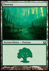 Floresta / Forest - Magic: The Gathering - MoxLand