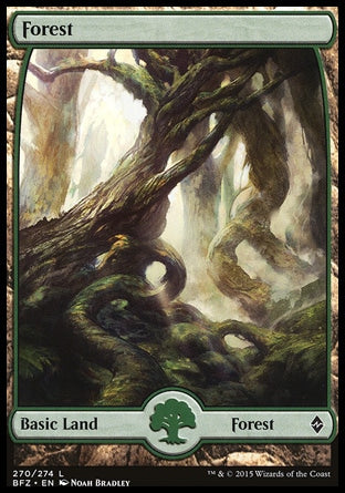 Floresta / Forest - Magic: The Gathering - MoxLand