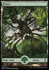 Floresta / Forest - Magic: The Gathering - MoxLand