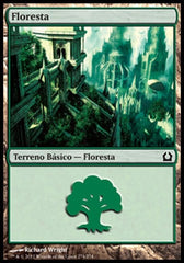 Floresta / Forest - Magic: The Gathering - MoxLand