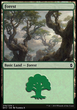 Floresta / Forest - Magic: The Gathering - MoxLand