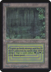 Bayou / Bayou - Magic: The Gathering - MoxLand