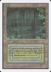 Bayou / Bayou - Magic: The Gathering - MoxLand