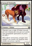 Caracal Treinado / Trained Caracal - Magic: The Gathering - MoxLand