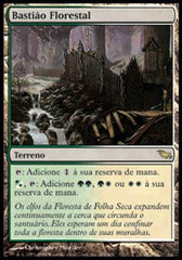 Bastião Florestal / Wooded Bastion - Magic: The Gathering - MoxLand